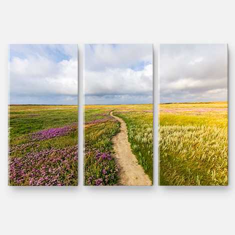 Lot de 3 Toiles Divisées 30x30 cm