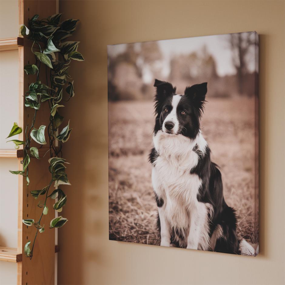 foto arredo e decorazioni da parete