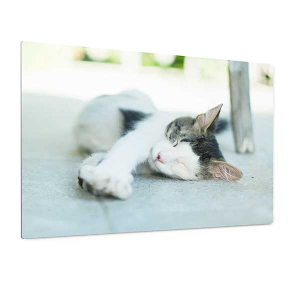 Icon Wall Panels