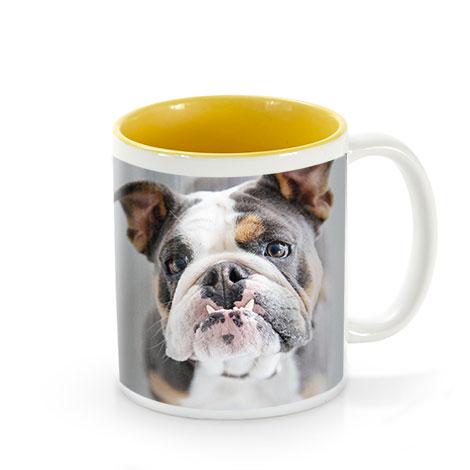 Panoramic Mug