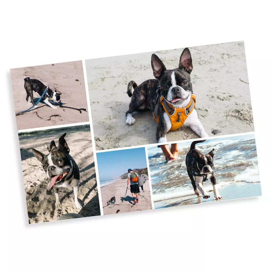 Icon Collage Prints