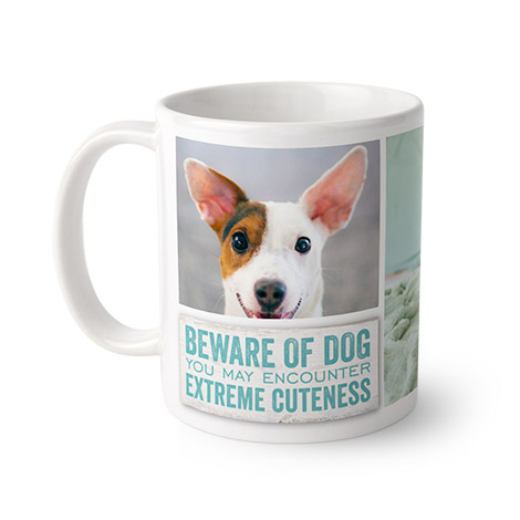 Beware Cute Dog