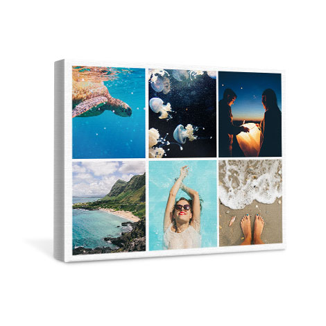 Canvas Prints