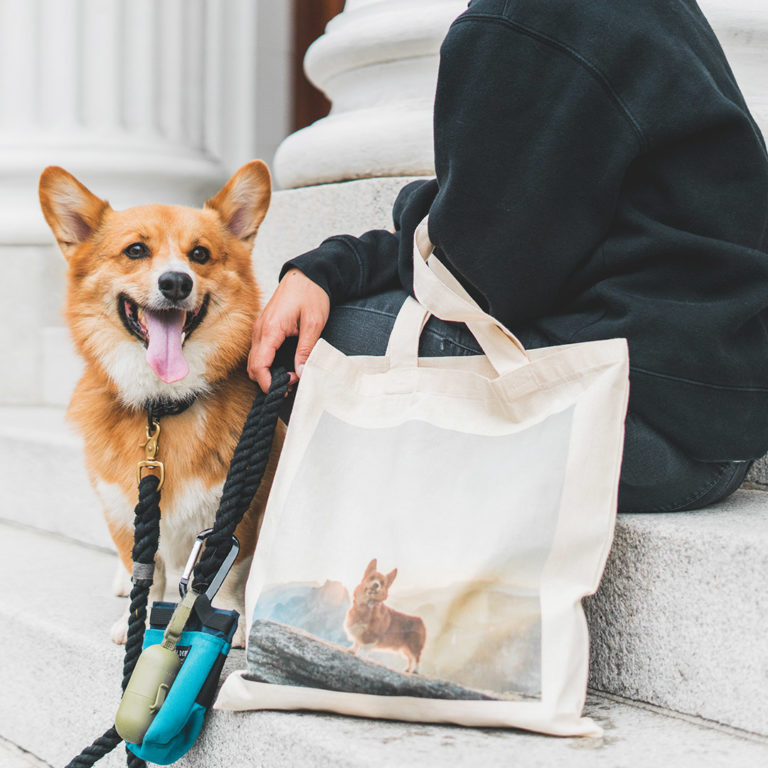 Get perfectly pet-coordinated with this totes-amazing pet themed shopping bag