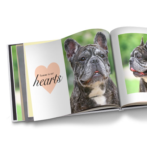 Simply Love Photo Book