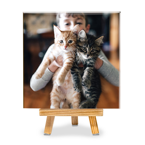 photo tile with boy and two cats