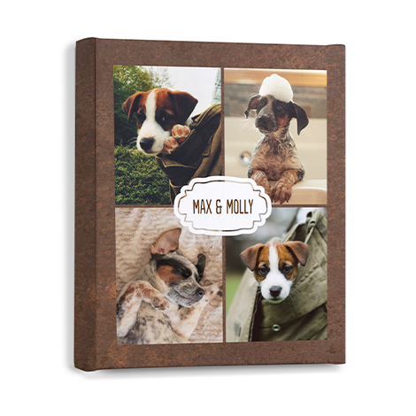 Collage Canvas Prints