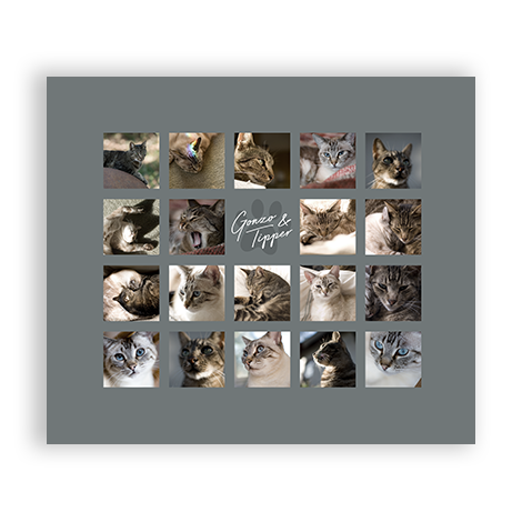 Large Prints