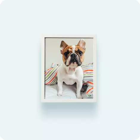 Large Prints + Framed Prints