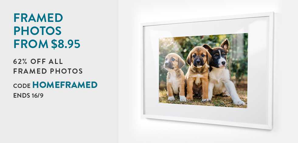 62% off all Framed Photos