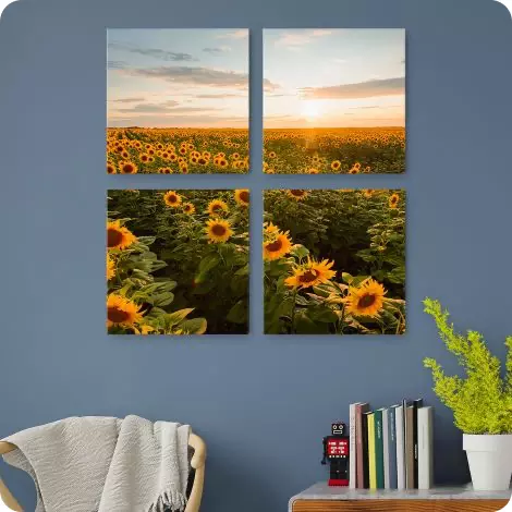 4 canvas prints with sunflowers 