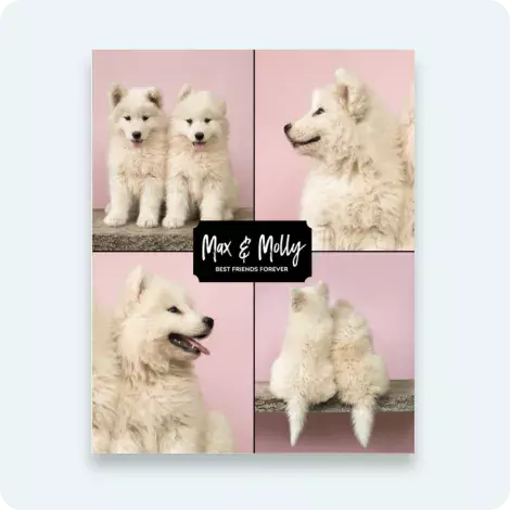 Collage Large Prints