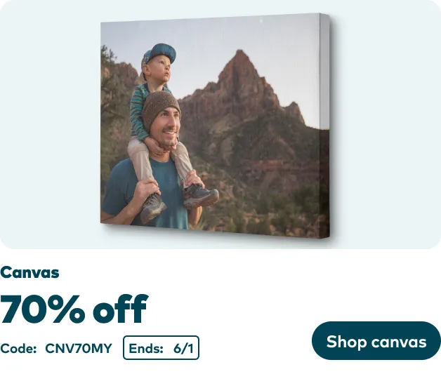 70% off Canvas