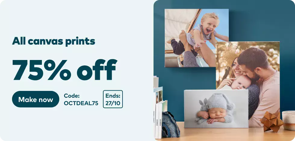 75% off all Canvas Prints