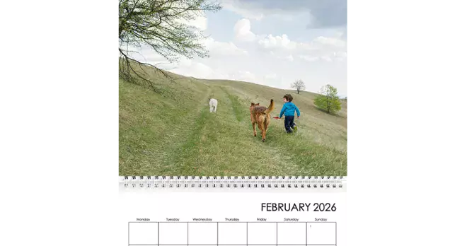 60% off calendars