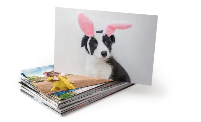 50% off prints + posters