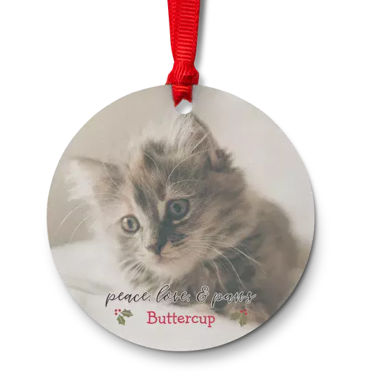 Acrylic round ornament