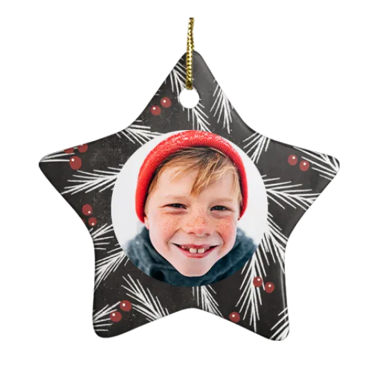 Porcelain star