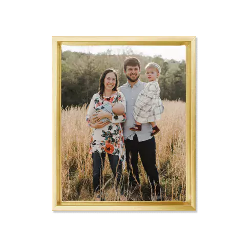 Gold framed canvas