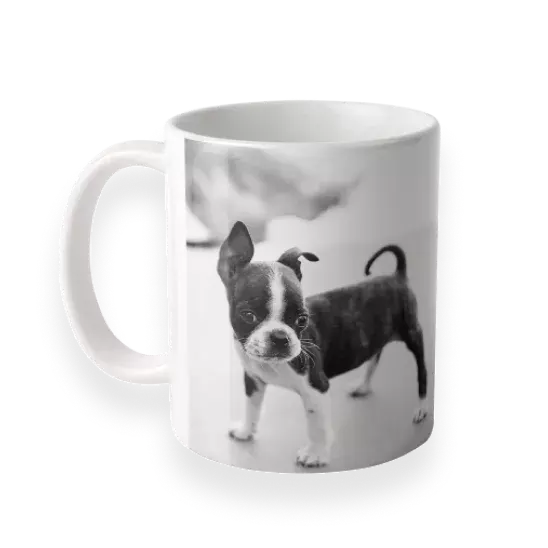 11oz. photo mugs