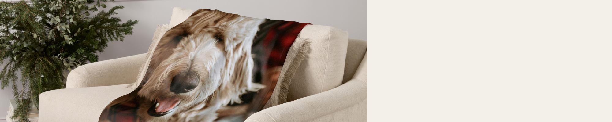 Aidez-les à embellir leur maison de visages et d’endroits préférés. 