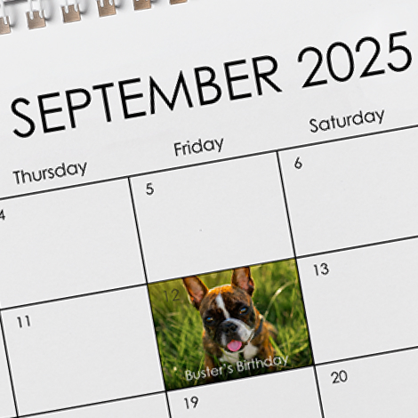 Customise important days
